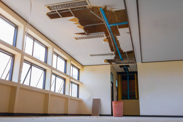 Best Flood damage cleanup  in Badin, NC