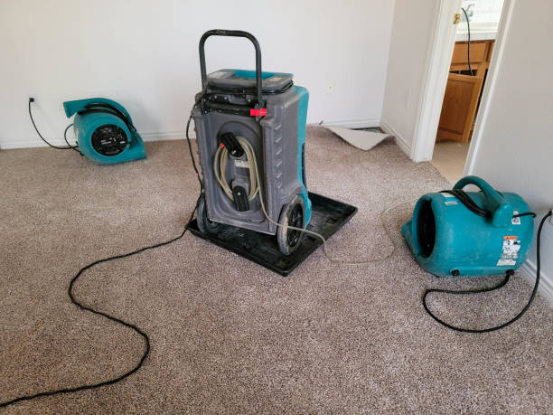Best Mold removal after water damage  in Badin, NC