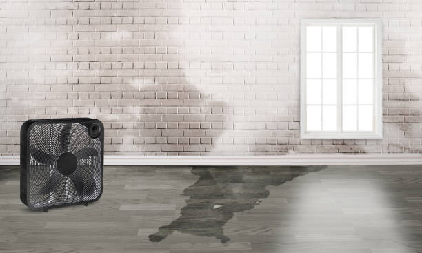 Best 24-hour water damage restoration  in Badin, NC
