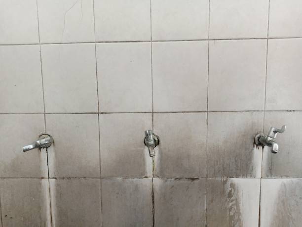 Best Water damage restoration near me  in Badin, NC