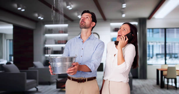 Best Professional water damage repair  in Badin, NC